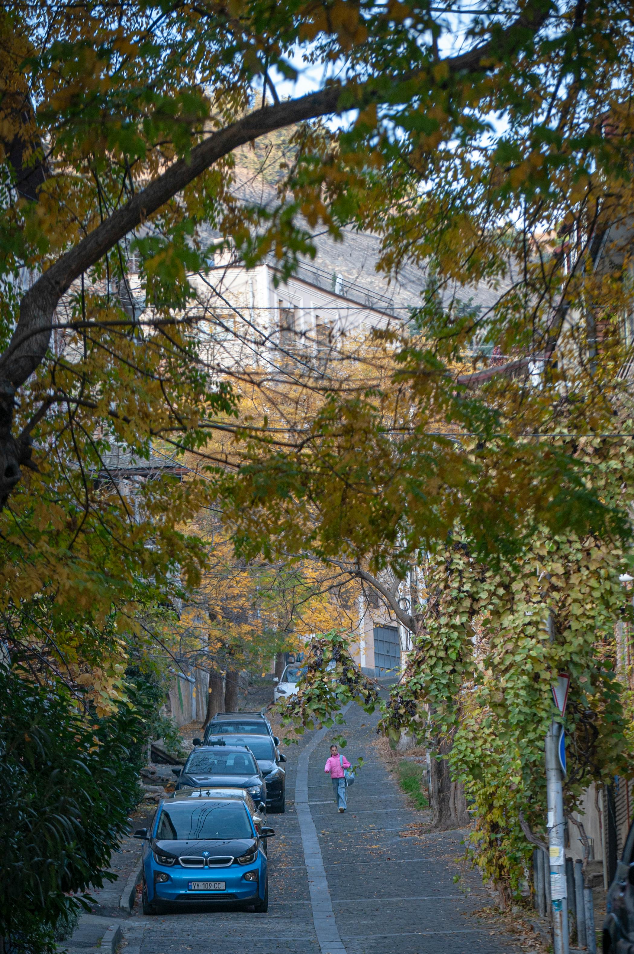 Kostnadsfria En lugn höstgatubild i Tbilisi med ett barn som går under färgglada löv. Stock foto
