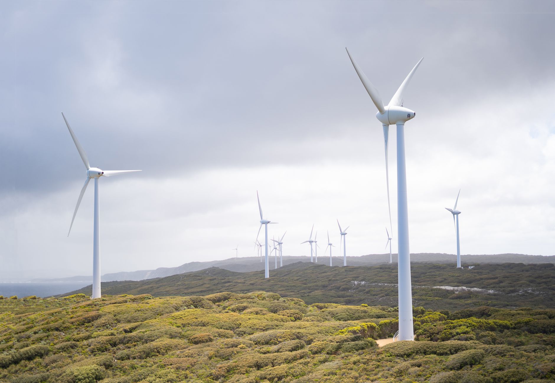 Hidrogênio Verde: O Brasil Lidera a Nova Fronteira da Energia