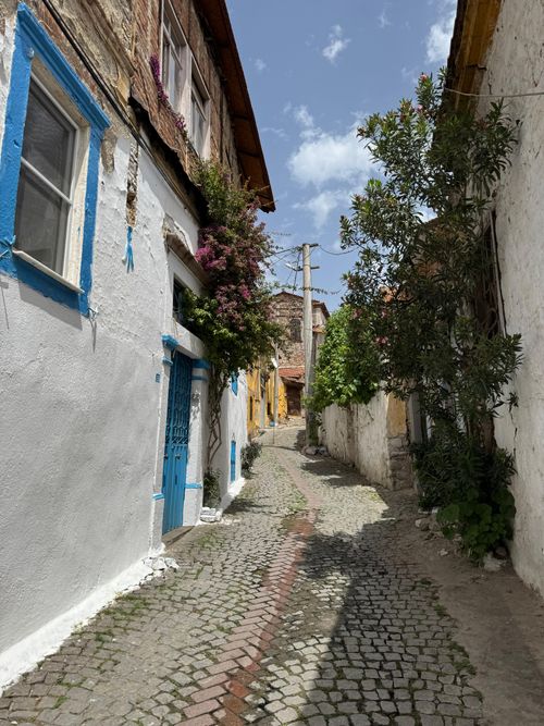 Free Picturesque cobblestone alley in the historic town of Bergama, İzmir, showcasing traditional architecture and lush greenery. Stock Photo