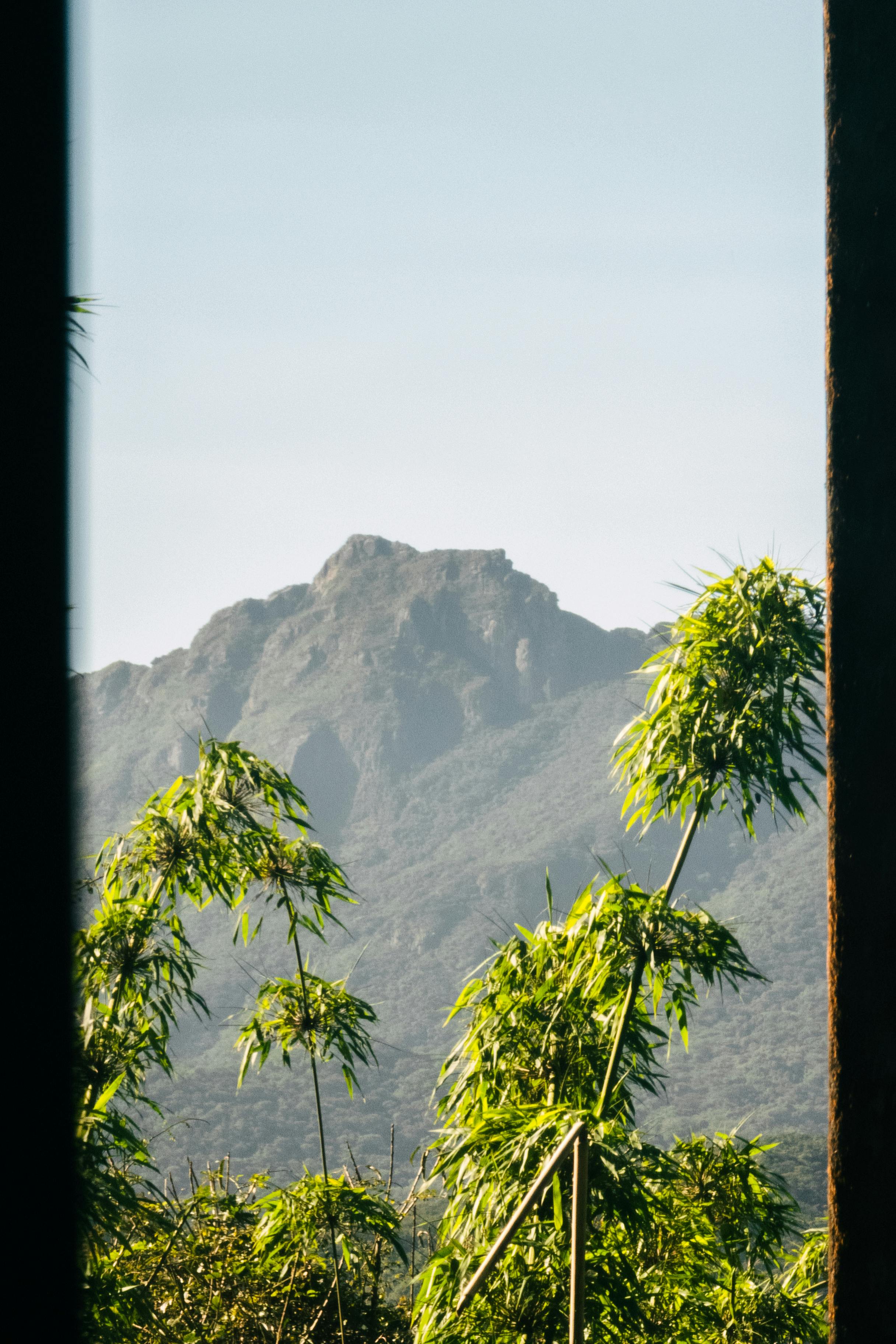 무료 브라질 파라나 주 모레테스의 그림 같은 산 풍경을 감싸는 울창한 녹음. 스톡 사진