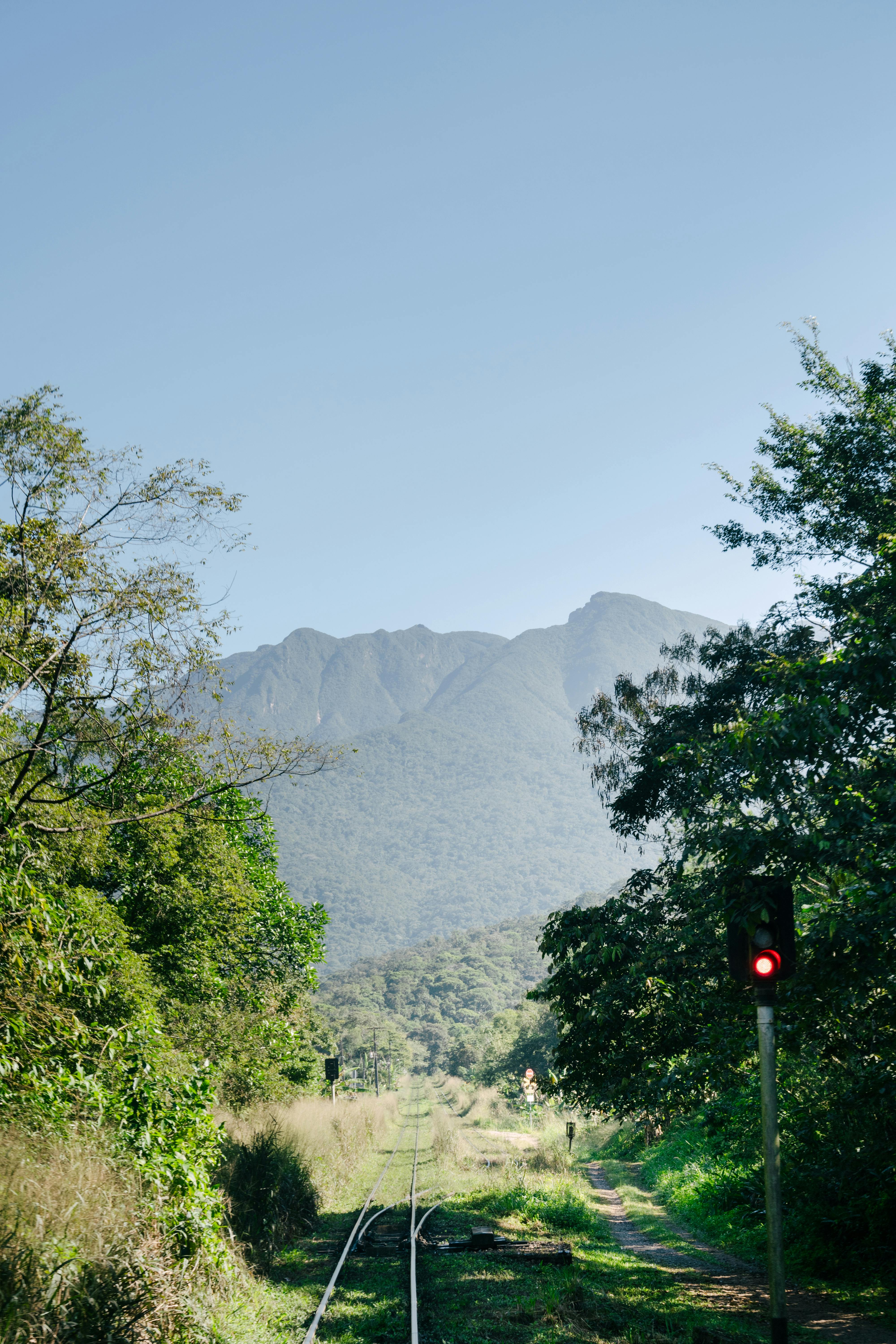 Gratis Immagine gratuita di alberi, allenare, ambiente Foto a disposizione