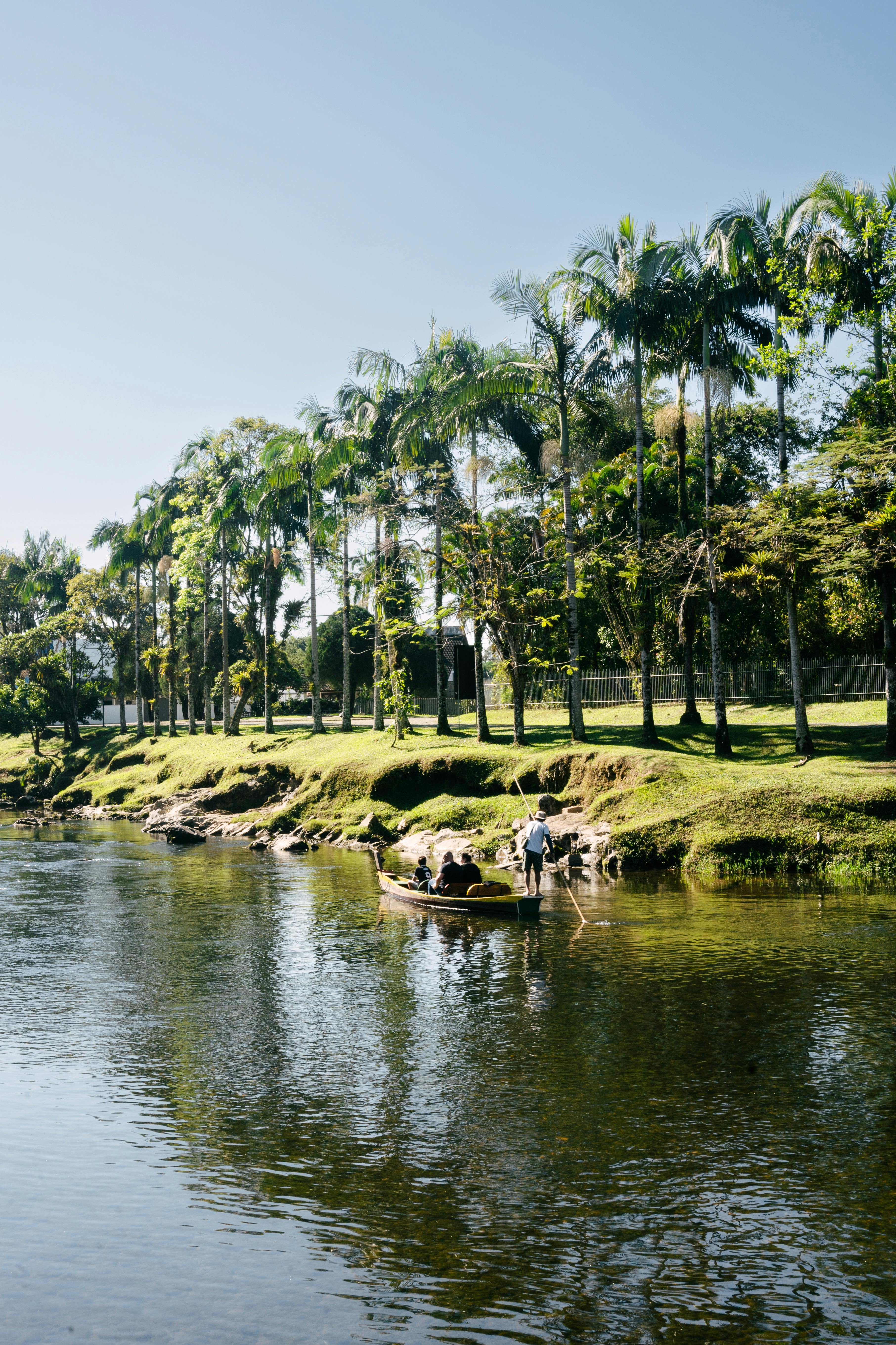 Gratis Immagine gratuita di acqua, ambiente, ambiente naturale Foto a disposizione