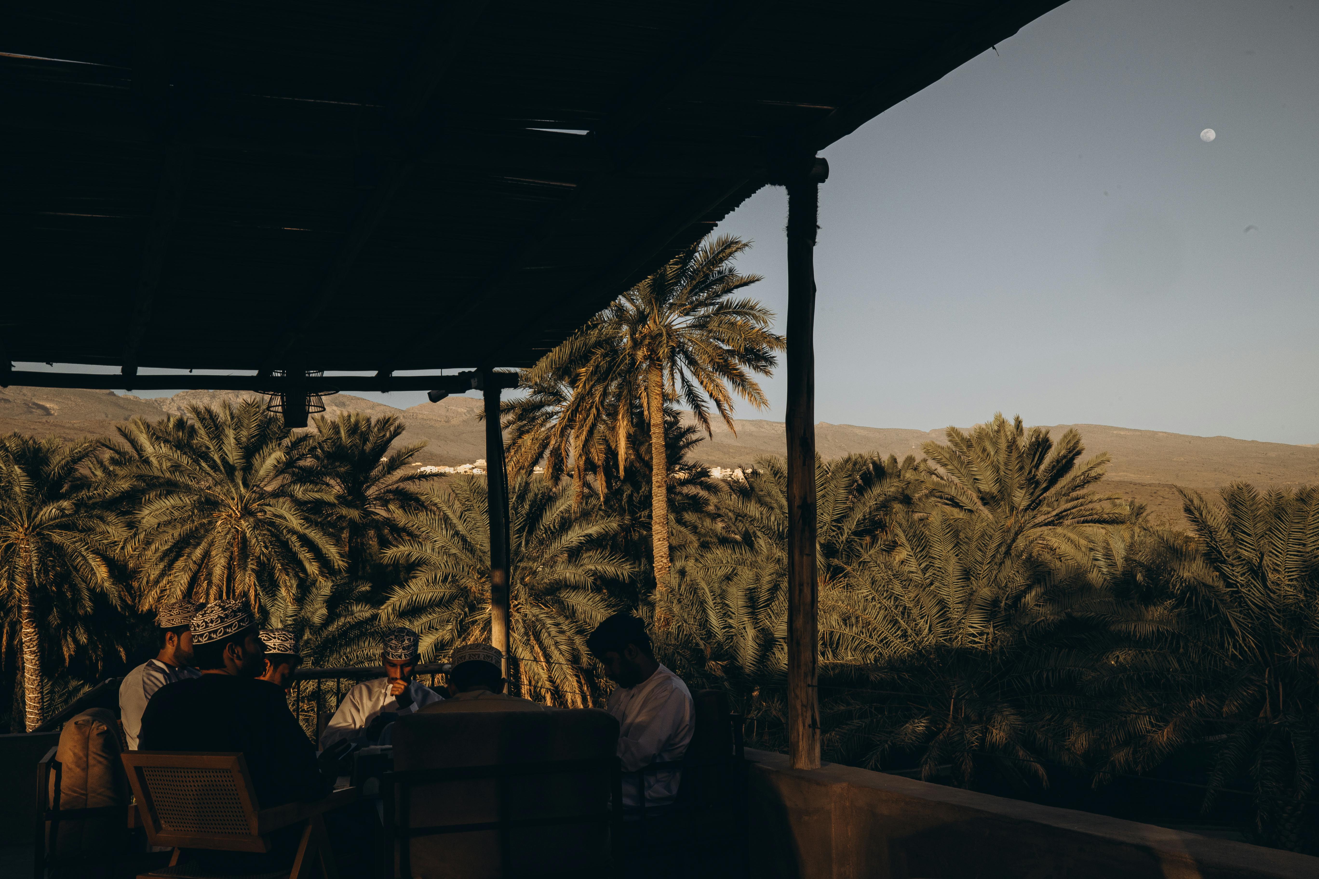 De franc Un vespre seren amb gent relaxant-se sota un pavelló entre els exuberants palmerars d'Oman. Foto d'estoc