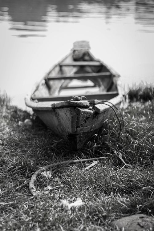 Free A weathered, vintage rowboat rests on the grassy riverbank, captured in black and white. Stock Photo