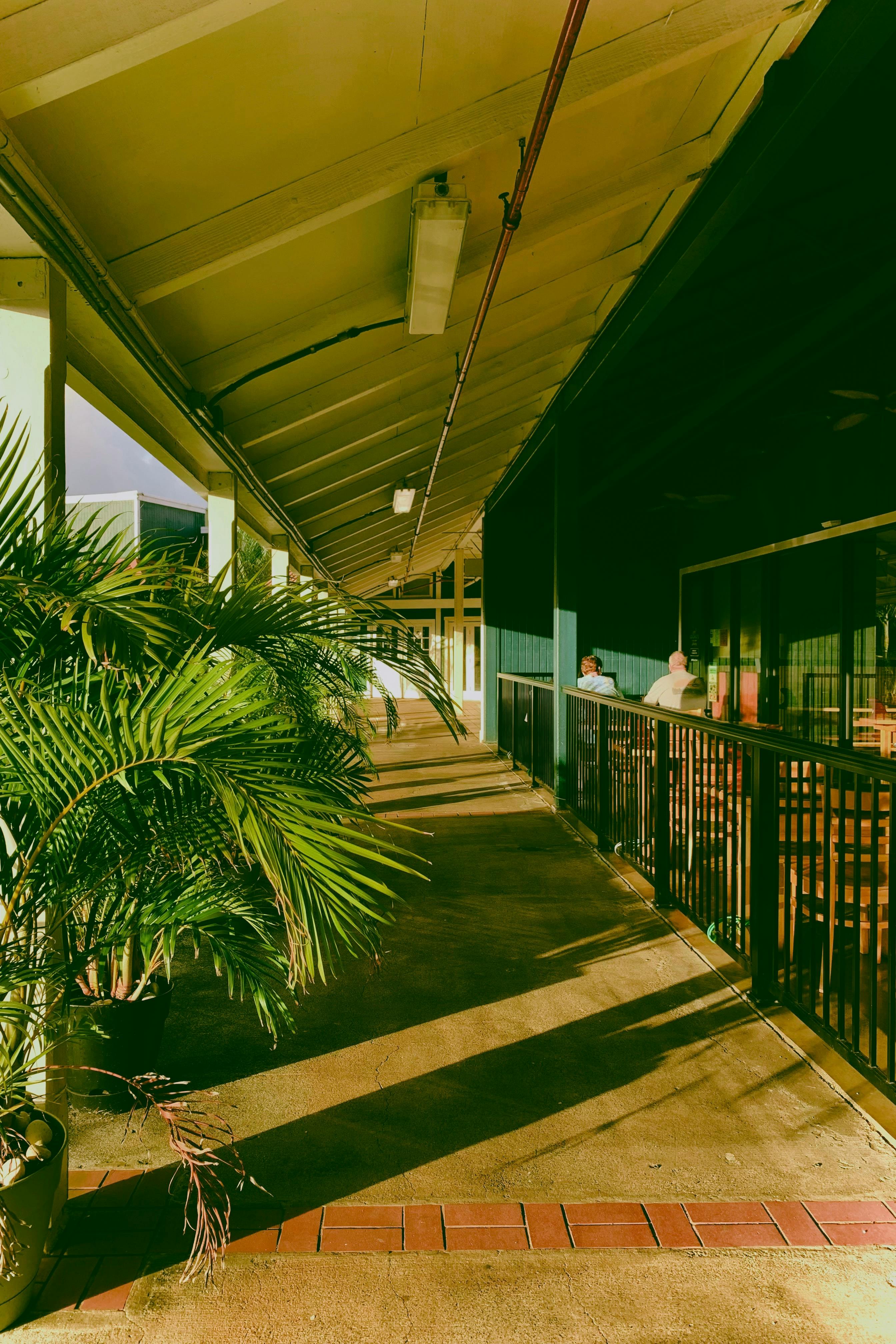 무료 야자수 그림자가 드리워진 햇살 가득한 복도는 매력적인 열대 분위기를 자아냅니다. 스톡 사진