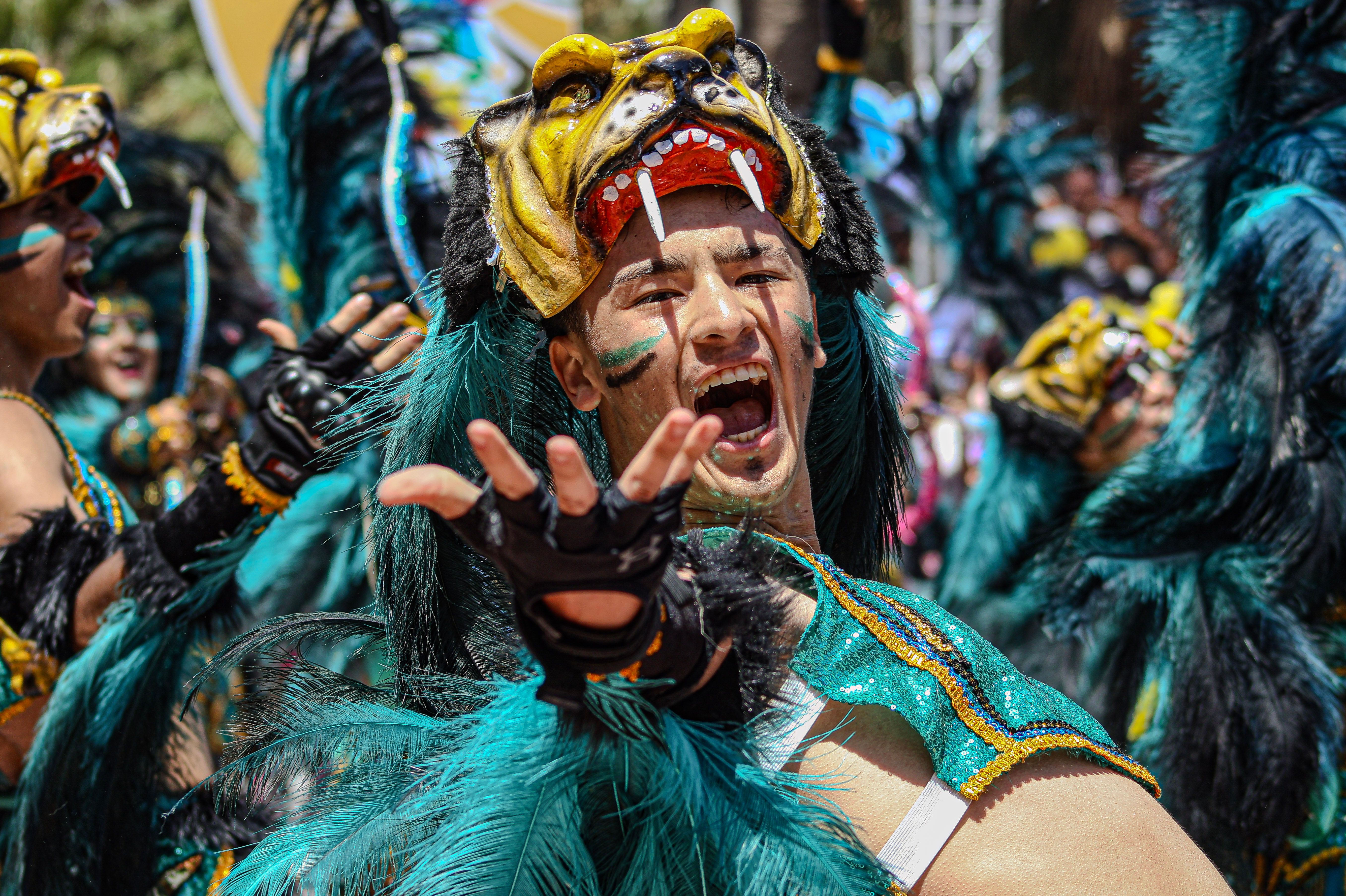 bucaramanga - jaguares — Photo by Victor Hugo Lagos on Pexels