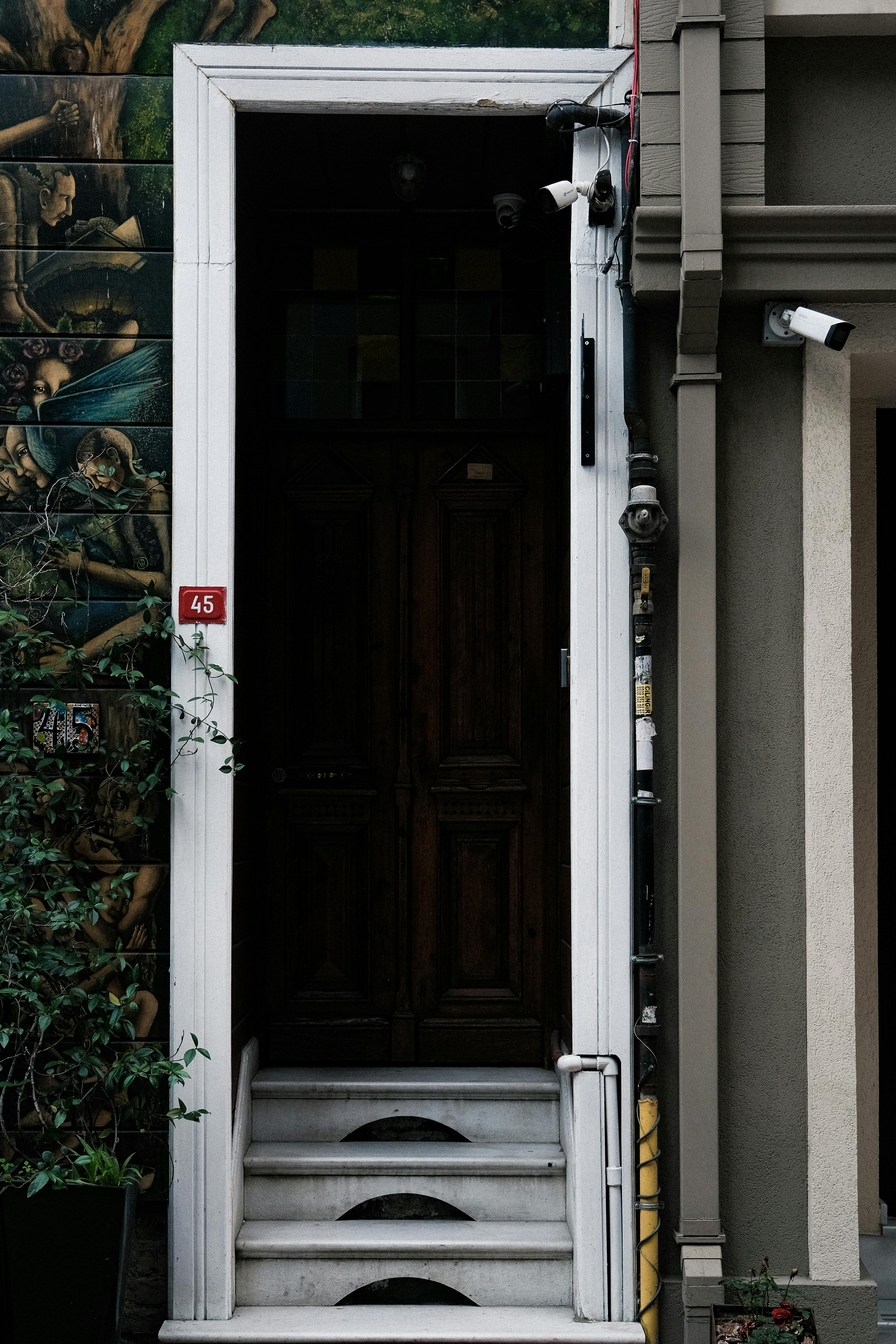 Ilmainen Tumma puinen ovi, jota reunustavat taiteelliset graffitit ja eloisa vehreys, herättää urbaania luovuutta. Kuvapankkikuva