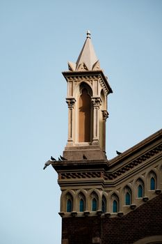 Close-up of a gothic tower with pigeons perched, under clear sky.