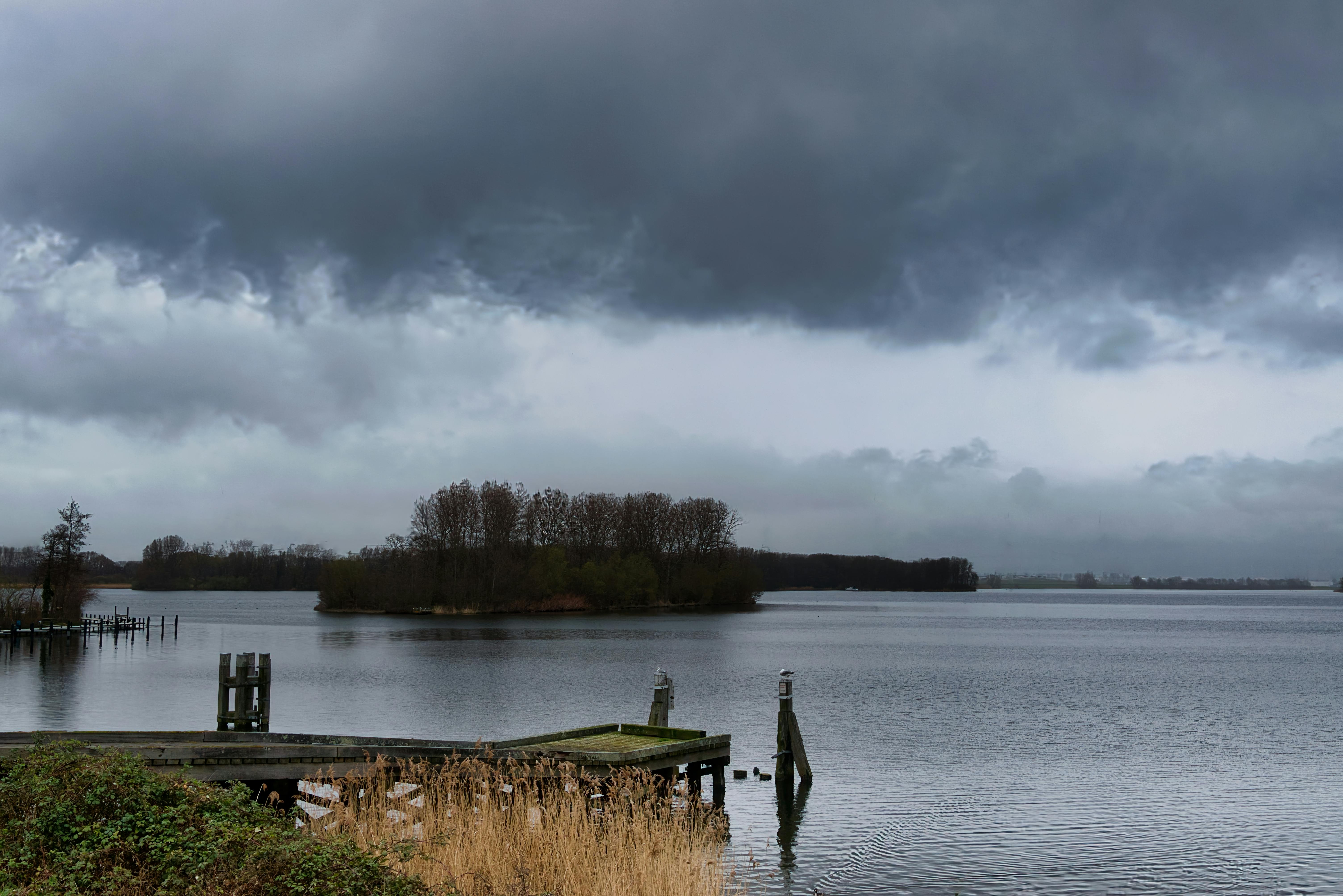 Gratis Immagine gratuita di acqua, acqua calma, alberi Foto a disposizione