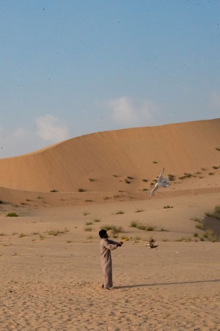 A person trains a falcon in the vast Abu Dhabi desert under a clear blue sky.