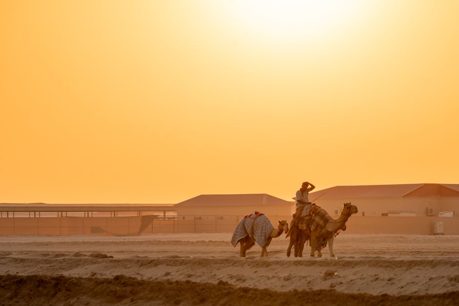 Desert Horseback Riding in Tamarix near Abu Dhabi