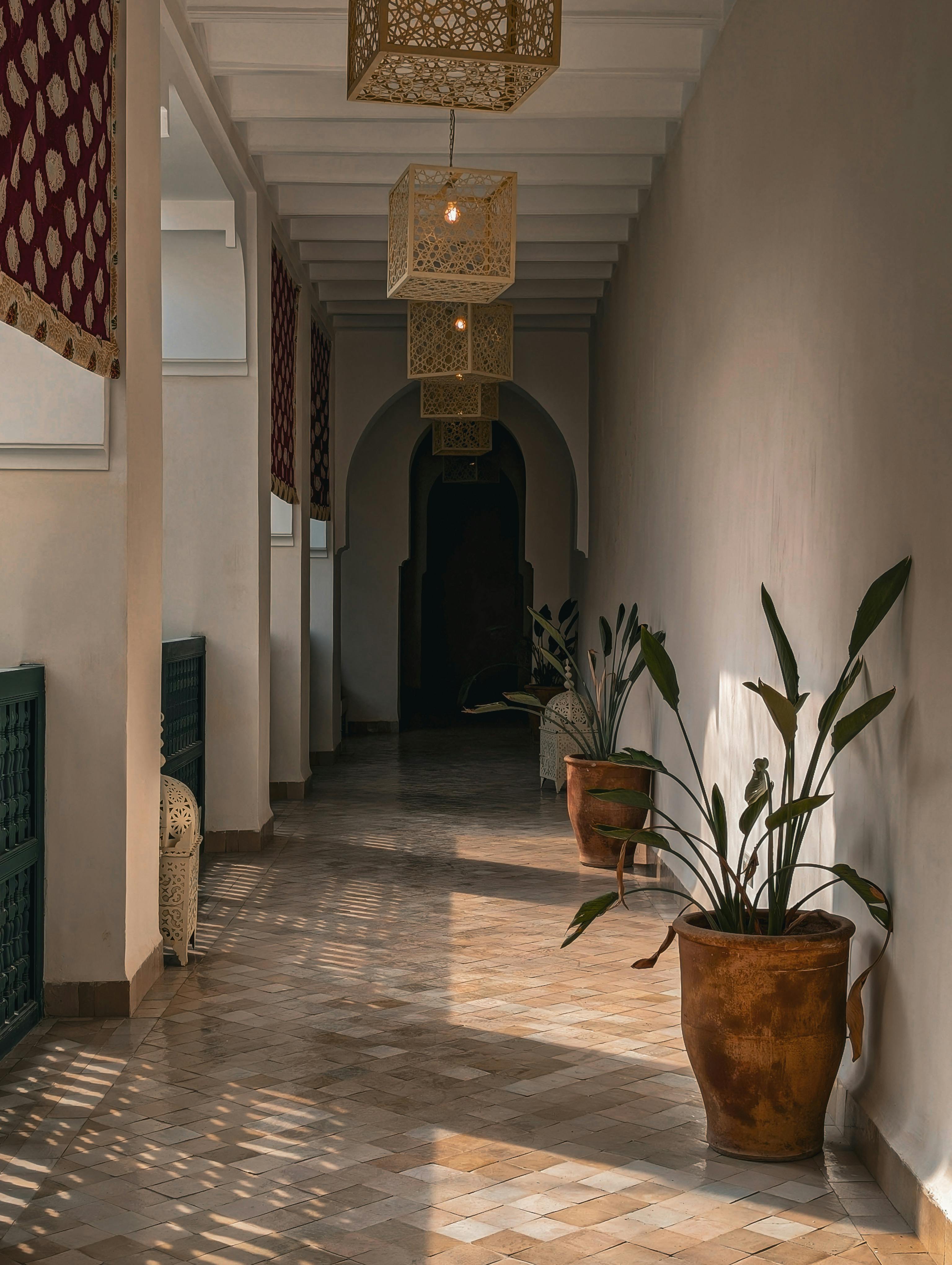 Bezpłatne Spokojny marokański korytarz z doniczkowymi roślinami i misternymi wiszącymi lampionami, Marrakesz, Maroko. Zdjęcie z galerii