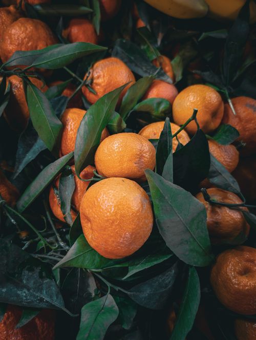 Free Close-up of fresh oranges with green leaves at a Marrakesh market, capturing vibrant colors and textures. Stock Photo