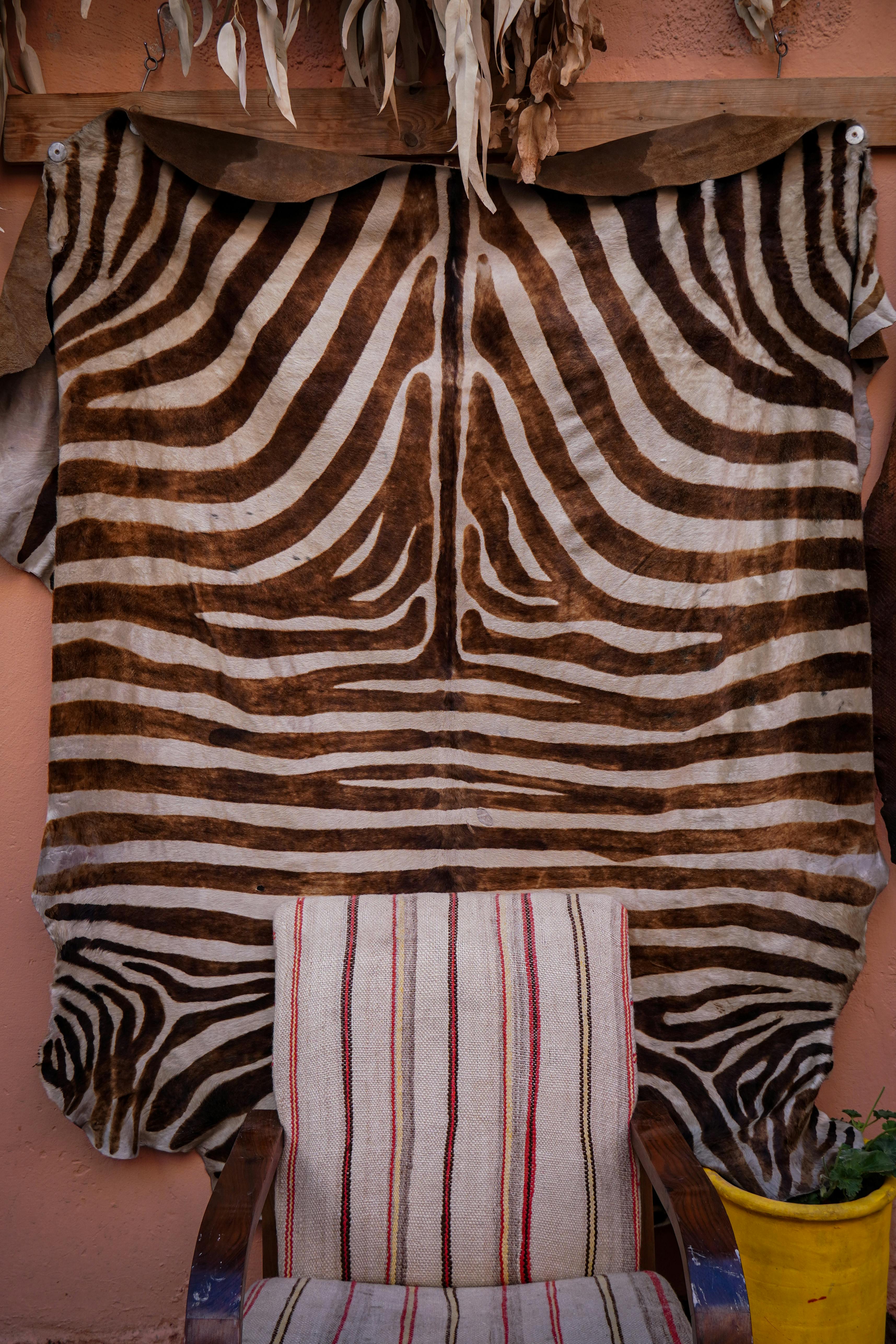 Ilmainen Seeprakuvioinen sisustus esillä Marrakeshin markkinoilla, joka esittelee eloisaa marokkolaista tyyliä. Kuvapankkikuva