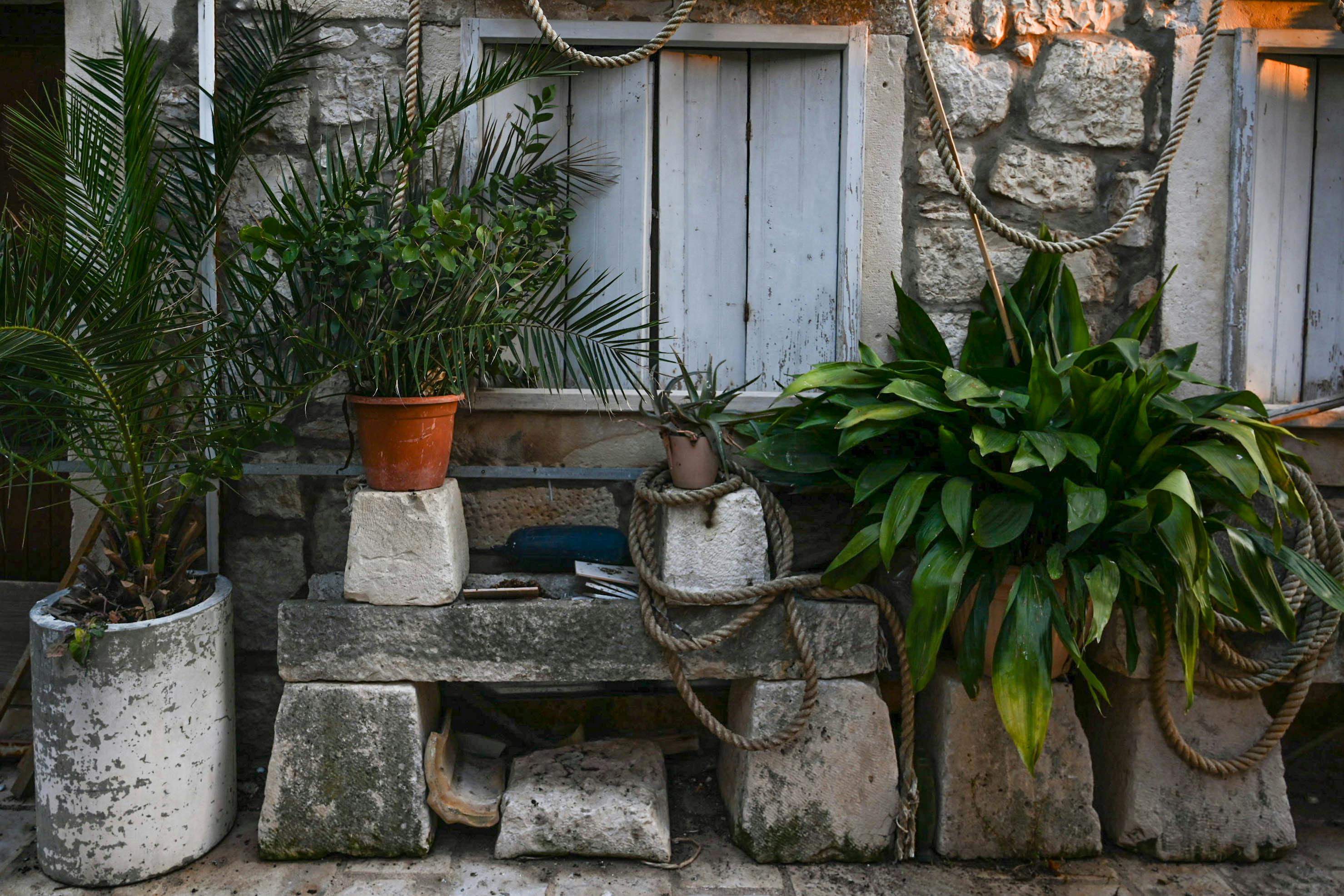 Kostnadsfria Rustik stenmur prydd med krukväxter och repdekor, vilket skapar en charmig utomhusmiljö. Stock foto