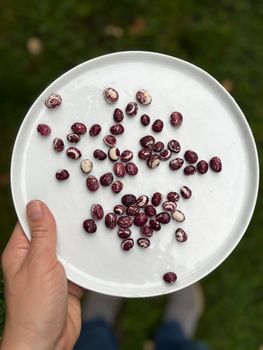 Orca Heritage Beans — kidney-friendly food