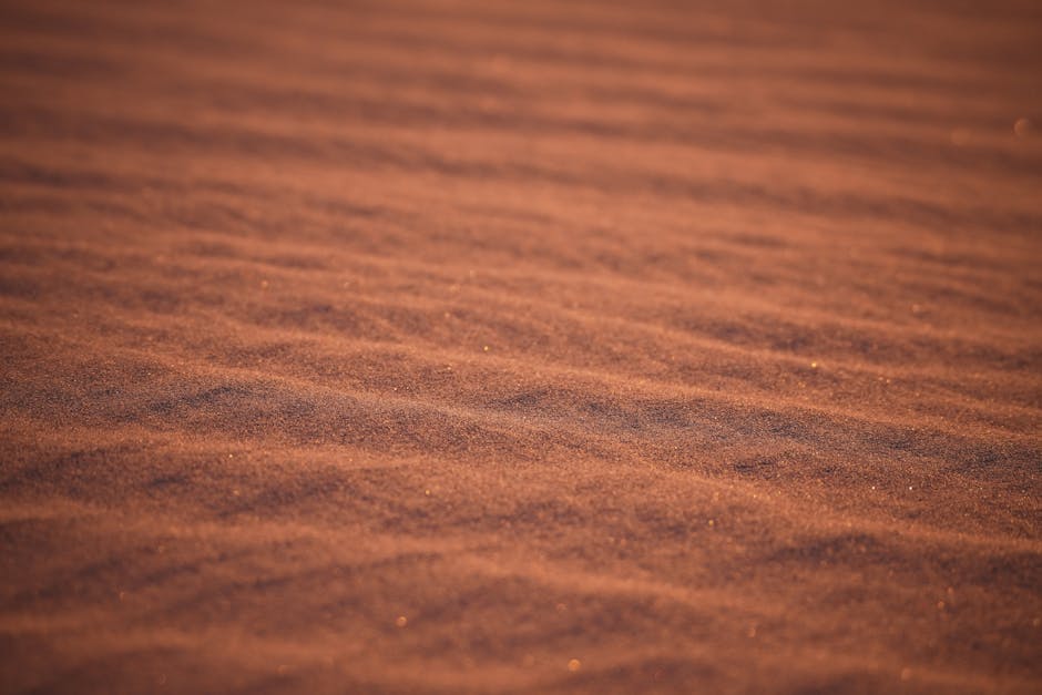 Captivating view of rippled sand dunes at sunset in the Sahara Desert, Morocco.