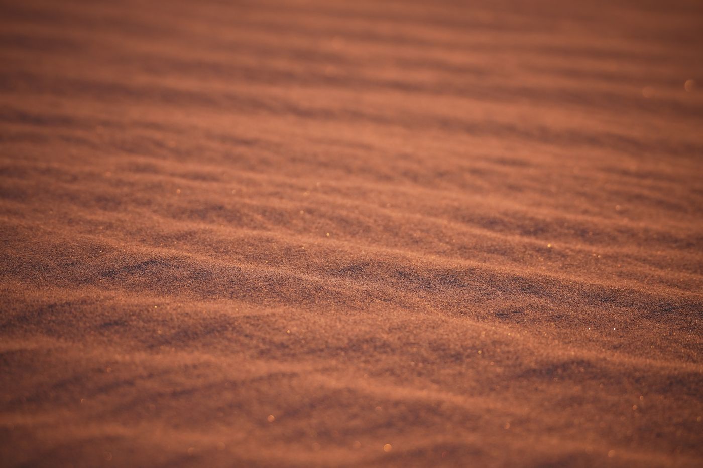 Zagora, Morocco — real-location travel photograph
