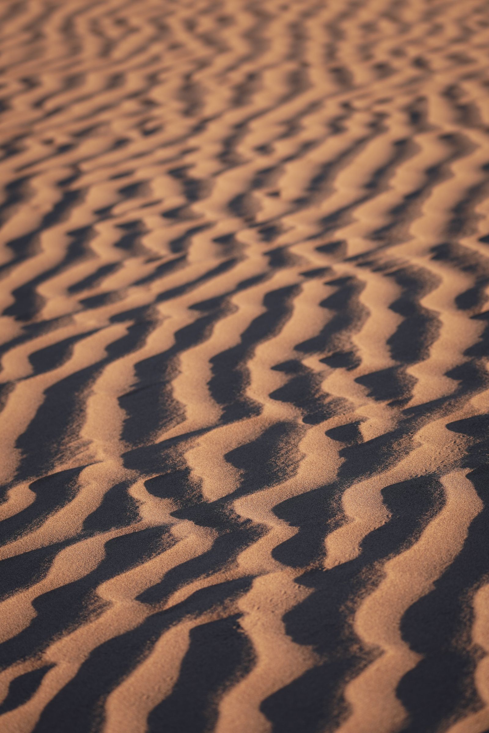 Dunes marocaines au coucher du soleil