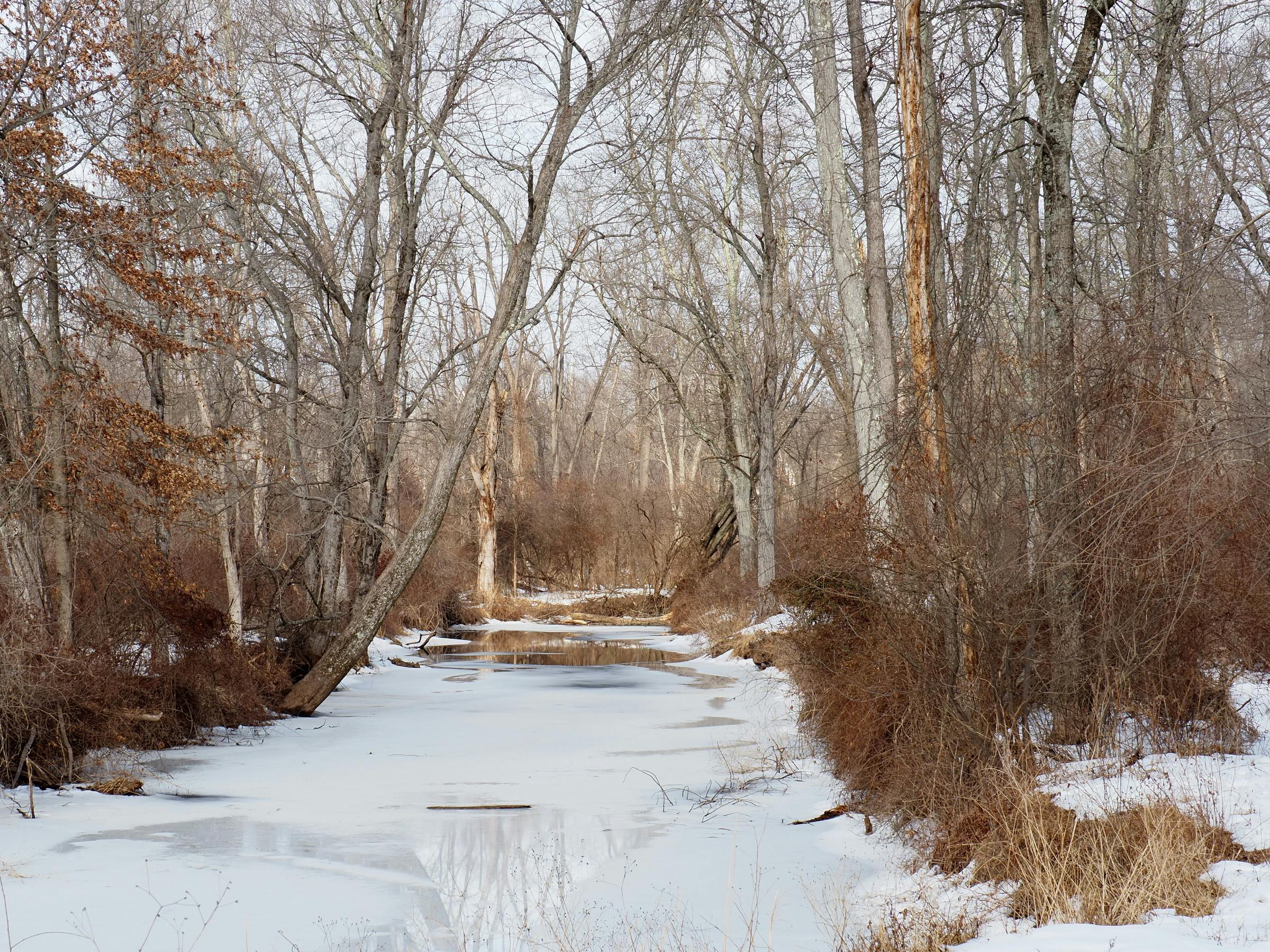 Ilmainen Seesteinen talvimaisema, jossa näkyy jäätynyt puro Chalfontissa, Pennsylvaniassa. Kuvapankkikuva