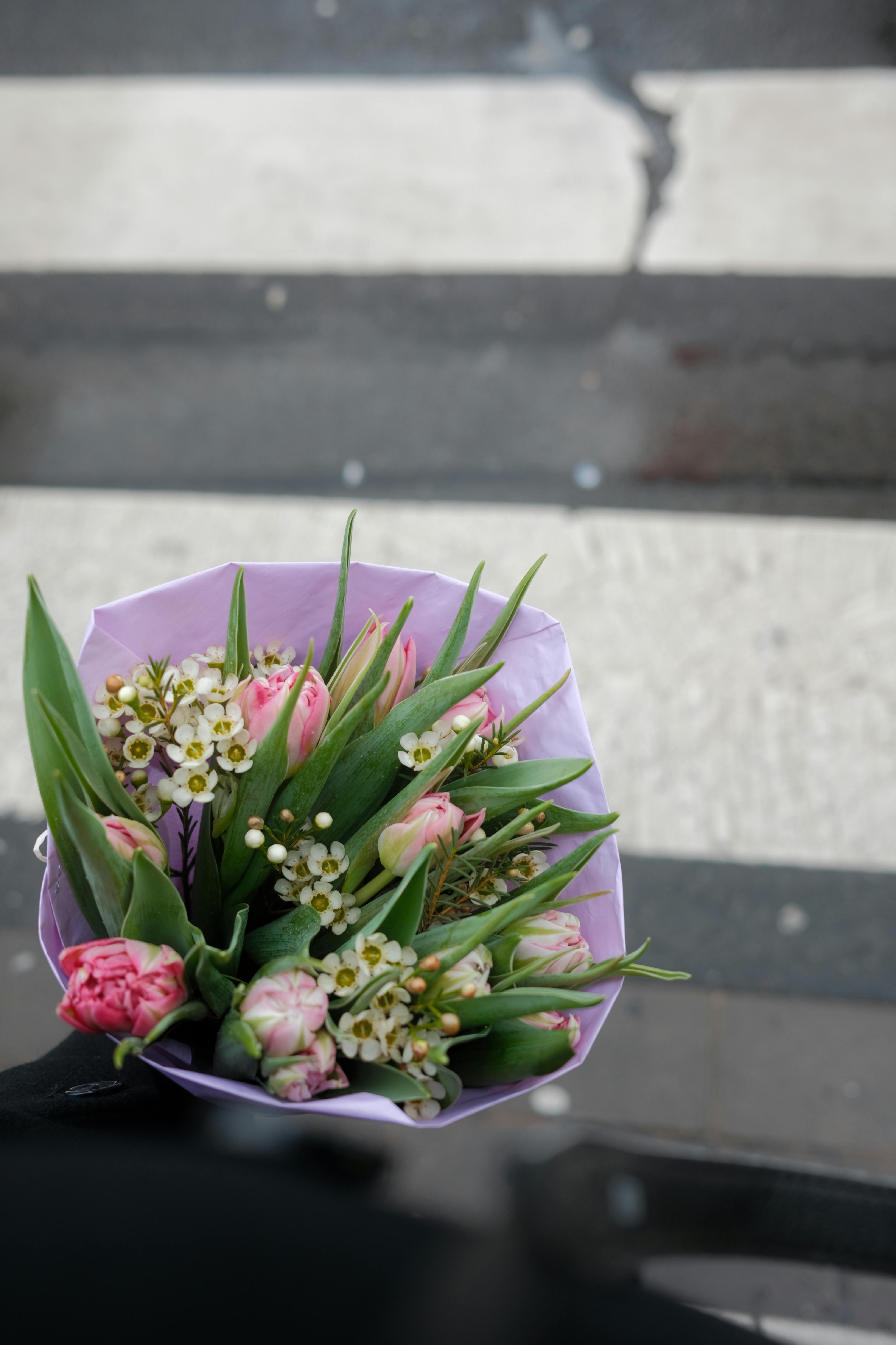 [ColoSach]-top-view-of-a-pink-tulip-bouquet-held-above-a-pedestrian-crosswalk,-urban-setting.