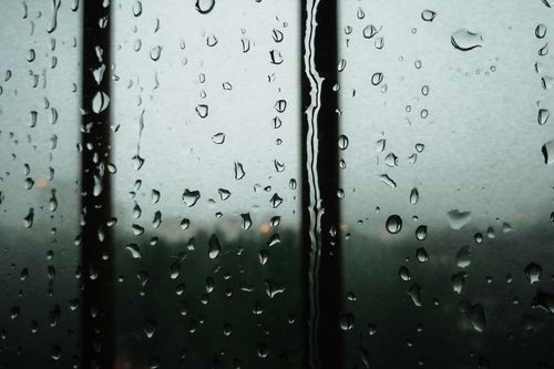 Raindrops on a window pane