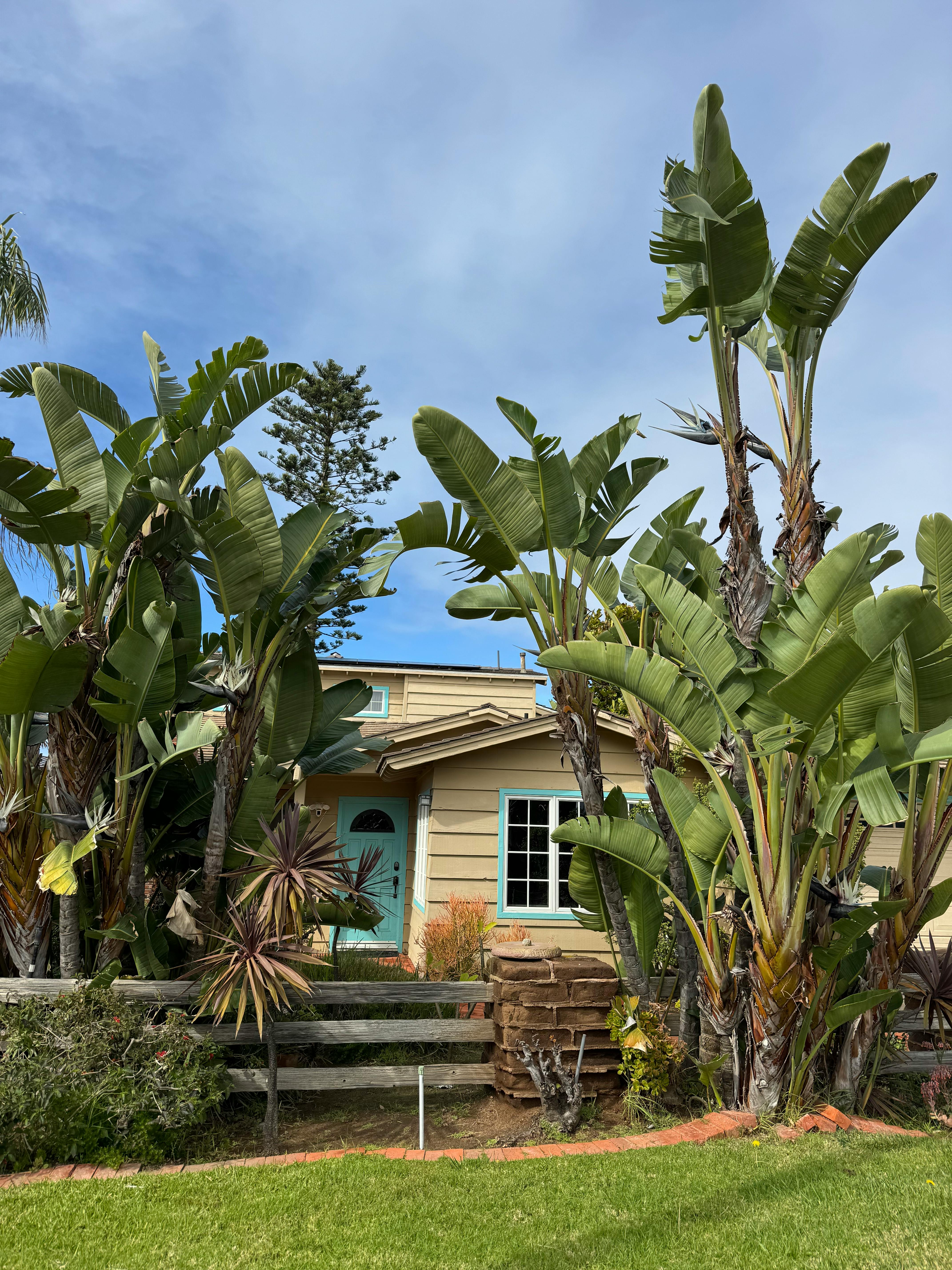 ฟรี คลังภาพถ่ายฟรี ของ @กลางแจ้ง, การจัดสวน, คาร์ลส คลังภาพถ่าย