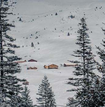Peaceful snowy scene featuring rustic cabins surrounded by trees in a winter landscape.