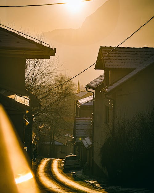 Free View Of Brown Wooden Houses Near Bare Trees On A Sunny Day Stock Photo