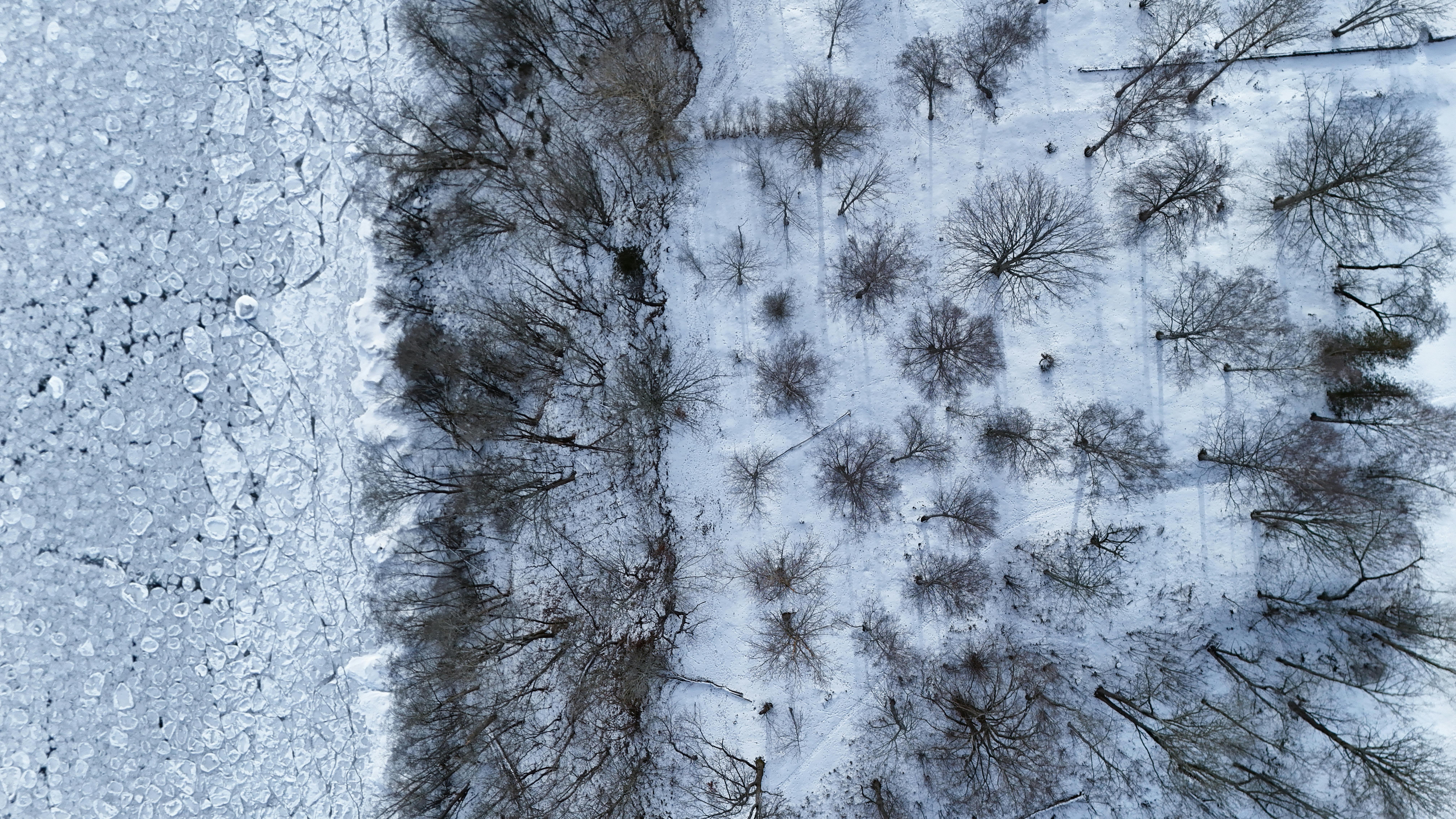 Ingyenes stockfotó befagyott, békés, derűs témában Stockfotó