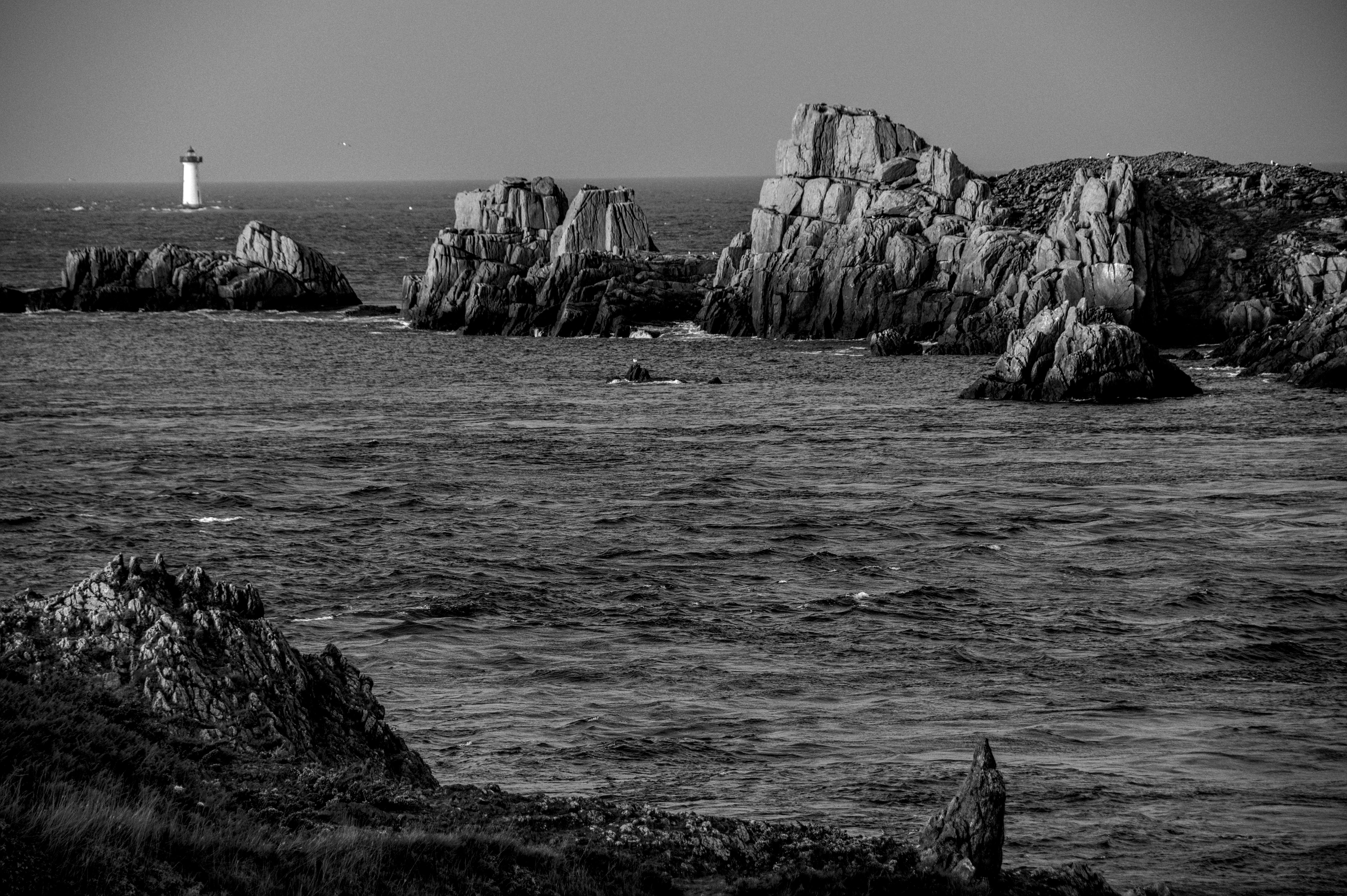 Dramatic Black and White Coastal Seascape · Free Stock Photo