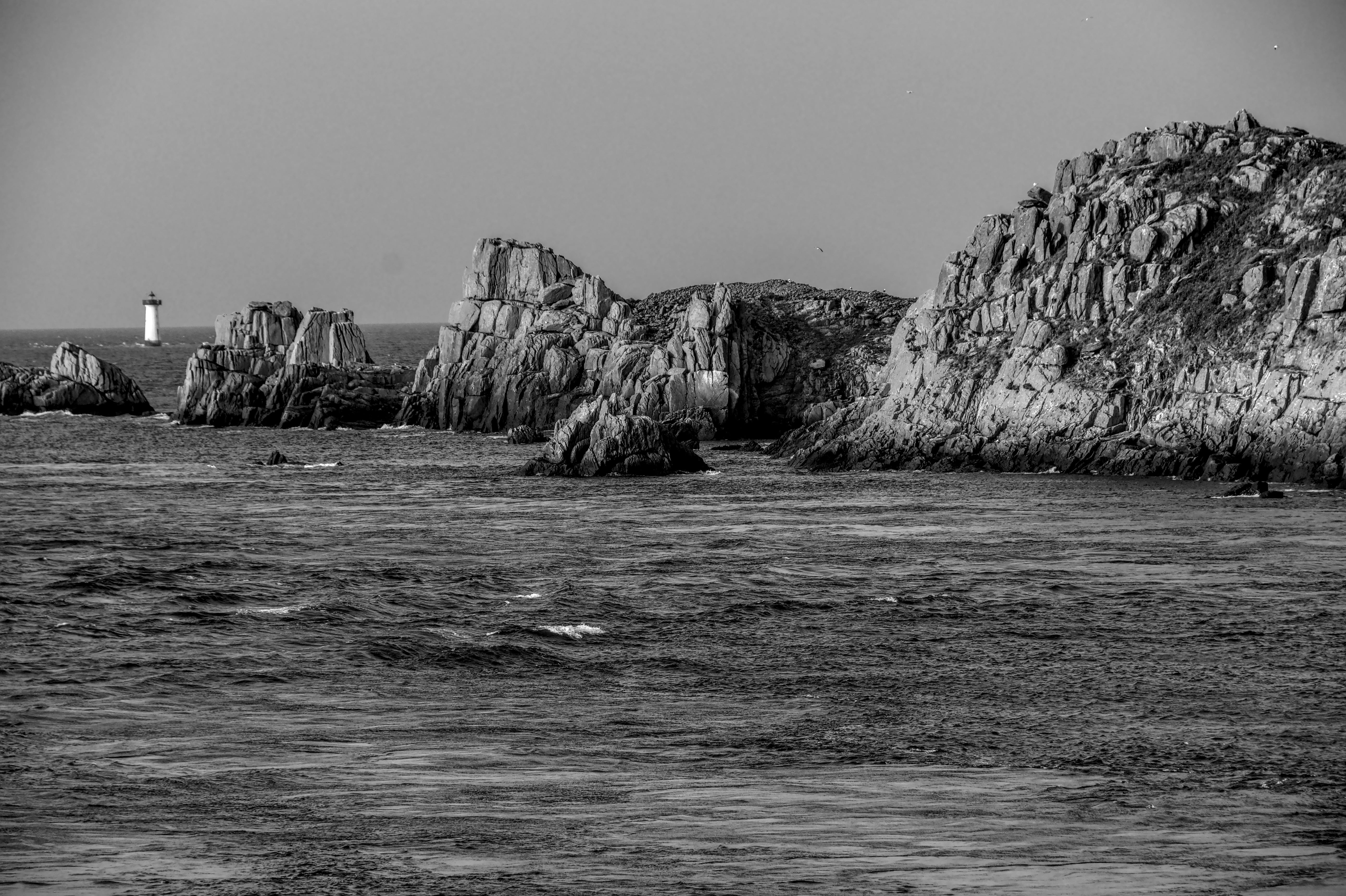 Gratis Dramatisk sort-hvid optagelse af den klippefyldte kystlinje i Bretagne, Frankrig, med et fyrtårn i det fjerne. Lagerfoto