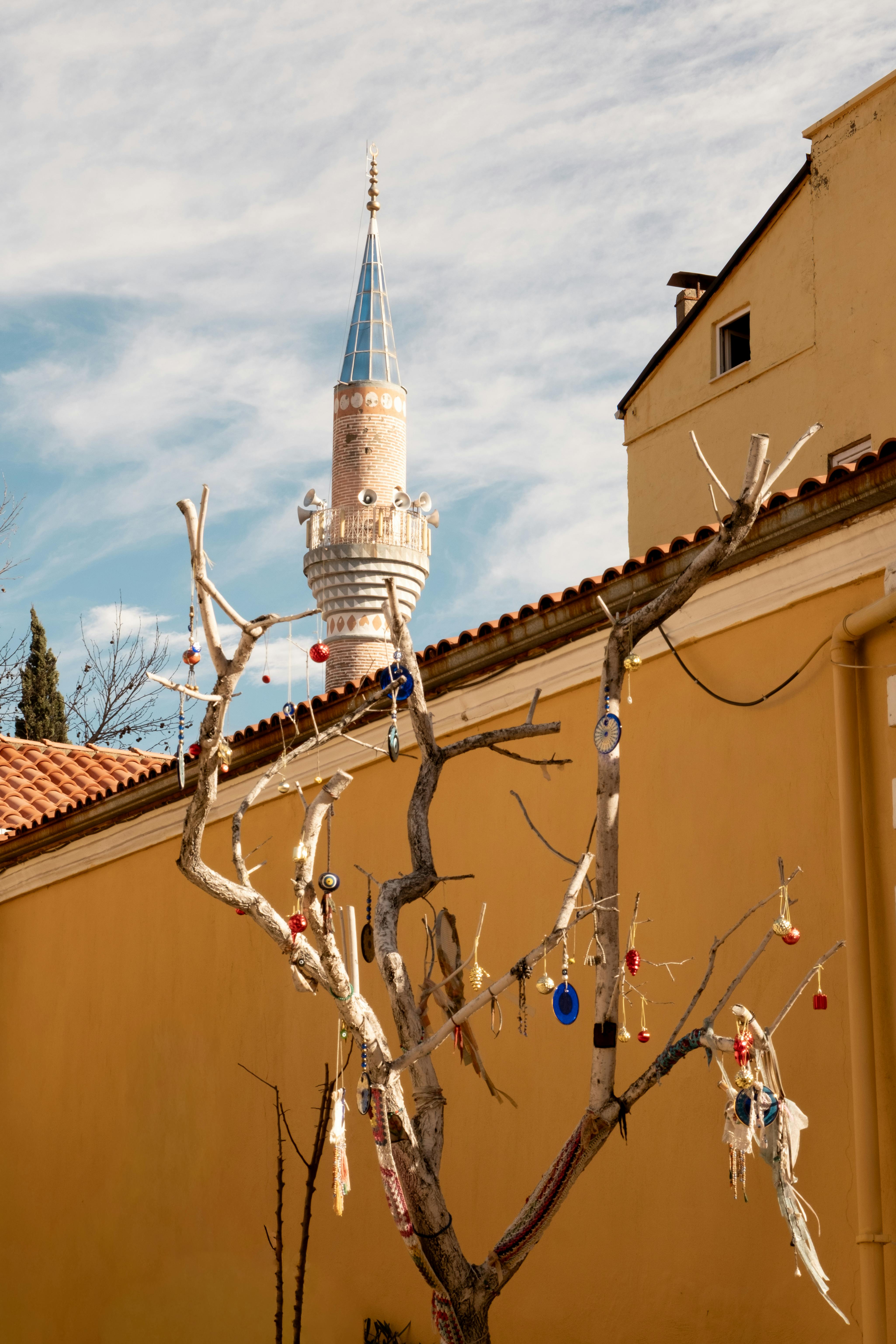 ฟรี ต้นไม้แห้งประดับด้วยเครื่องประดับ และหอคอยมัสยิดในเมืองเดนิซลี ประเทศตุรกี ท่ามกลางท้องฟ้าสดใส คลังภาพถ่าย