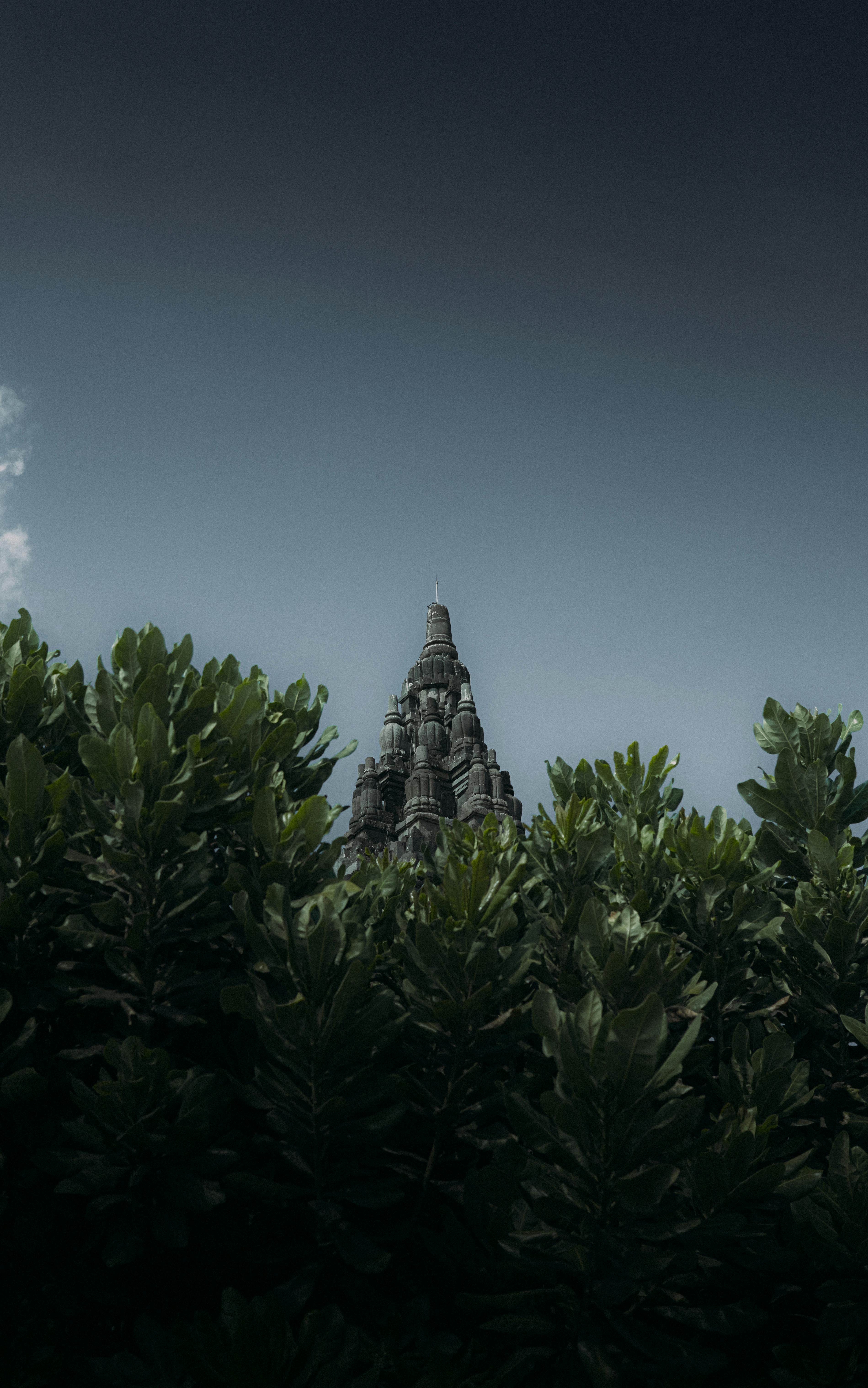 gratis Een indrukwekkend uitzicht op een oude tempeltoren die boven weelderig groen uitsteekt onder een heldere hemel. Stockfoto