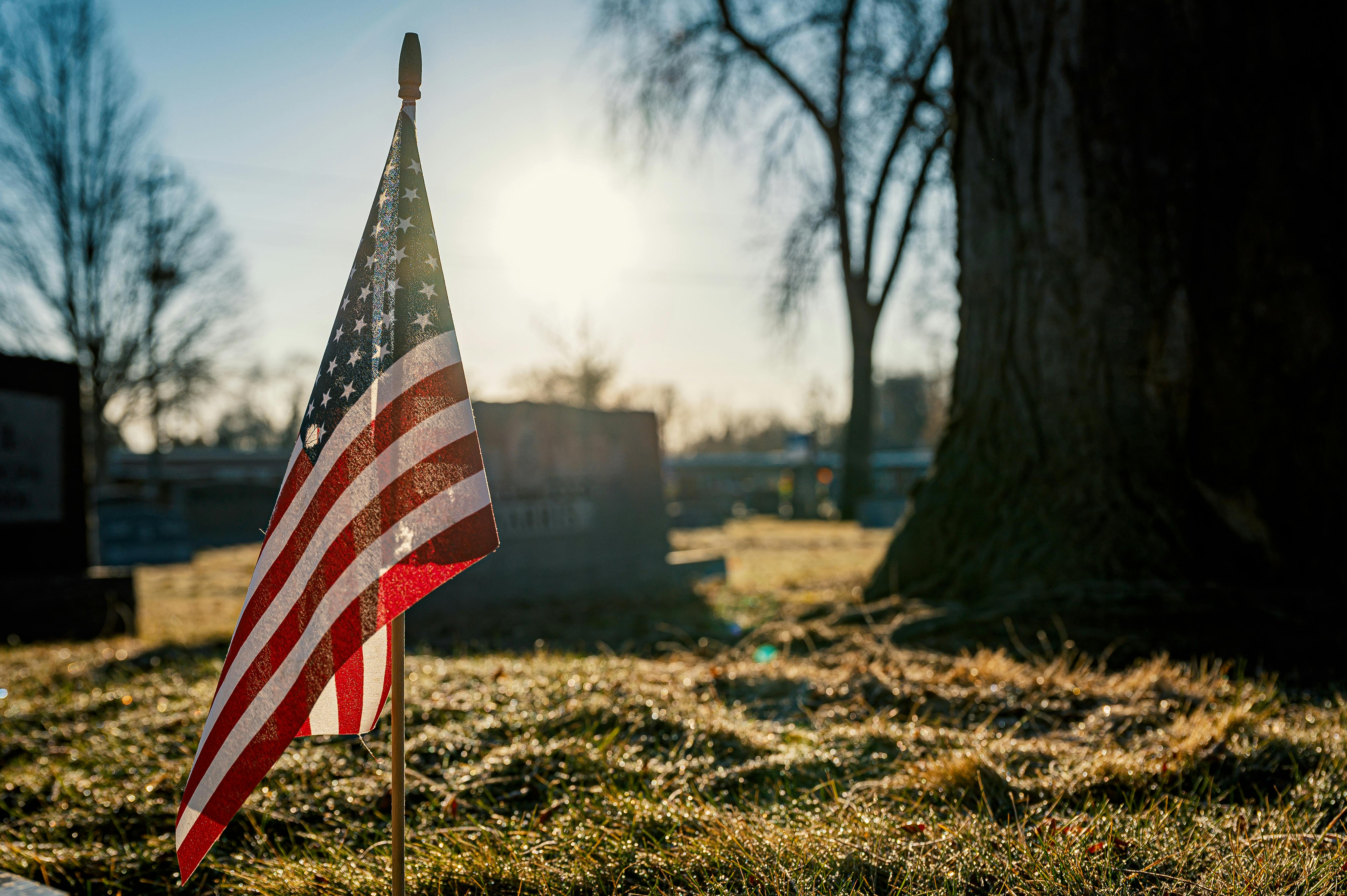 Memorial Photos, Download The BEST Free Memorial Stock Photos & HD Images