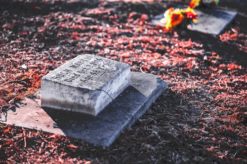 Gray Concrete Tomb