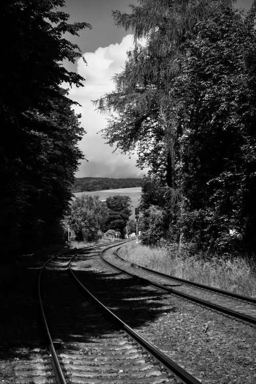 Free Black and white photo of a curved railway track through a lush forest setting. Stock Photo