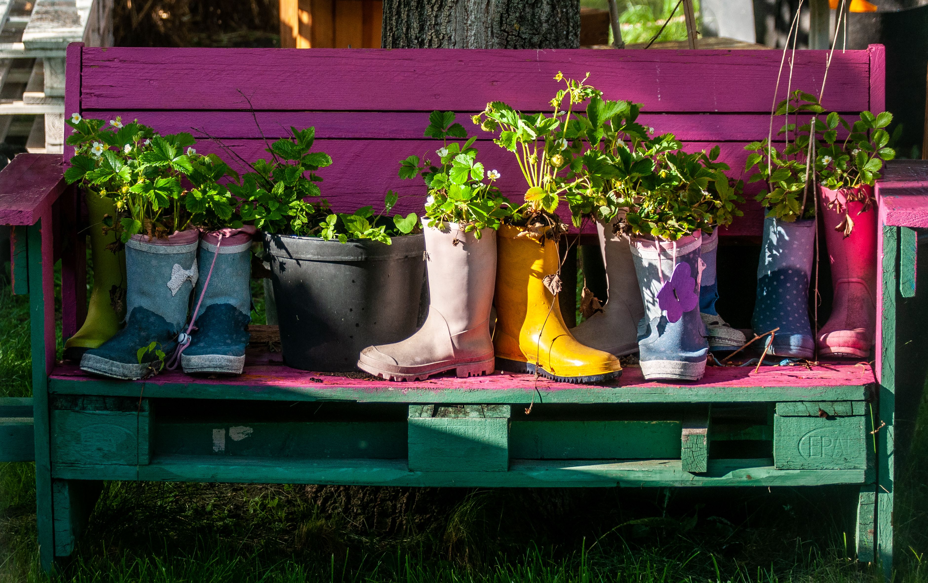 Repurpose Household Items as Containers
