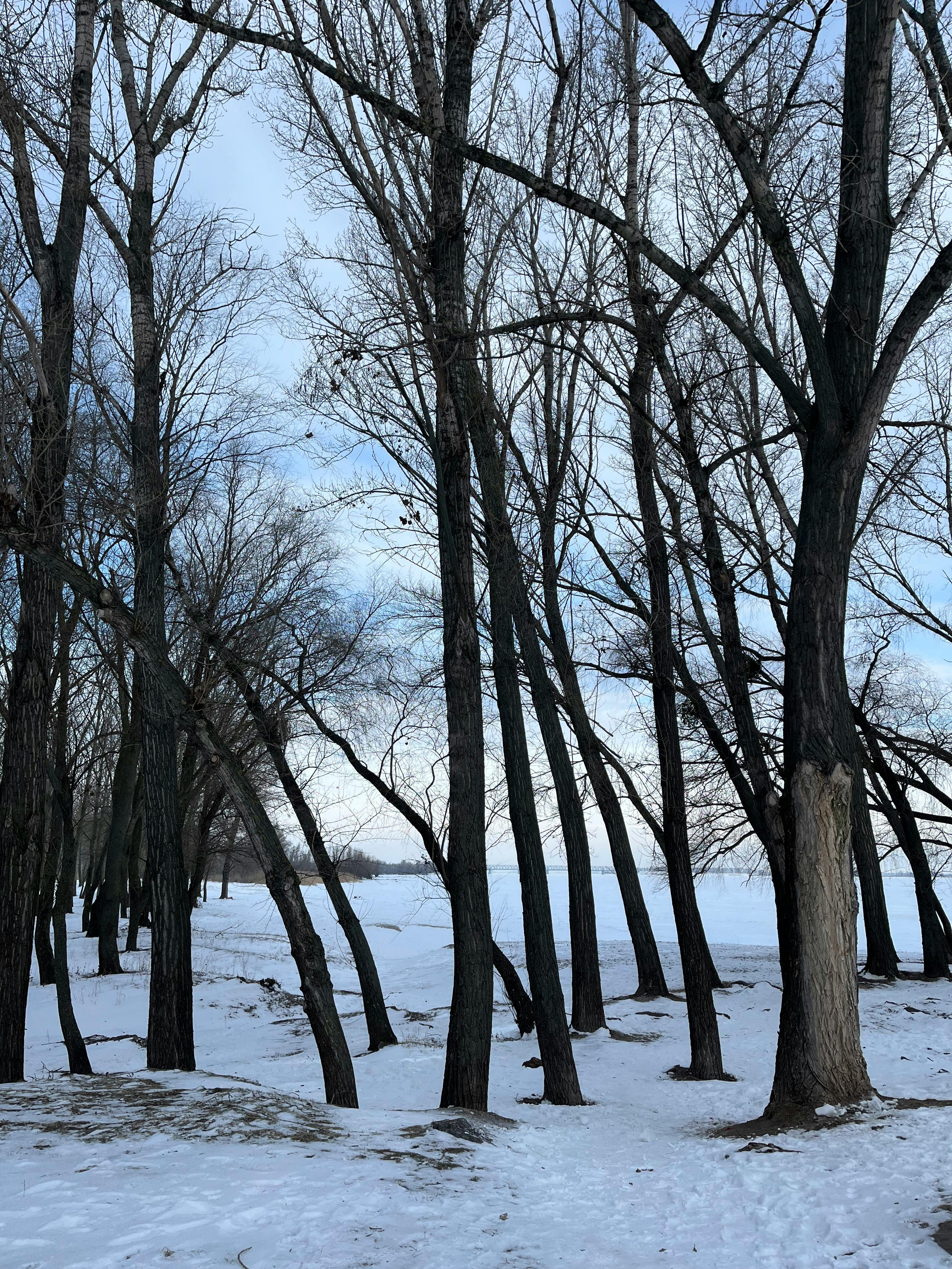 Miễn phí Ảnh lưu trữ miễn phí về @ngoài trời, ban ngày, băng Ảnh lưu trữ