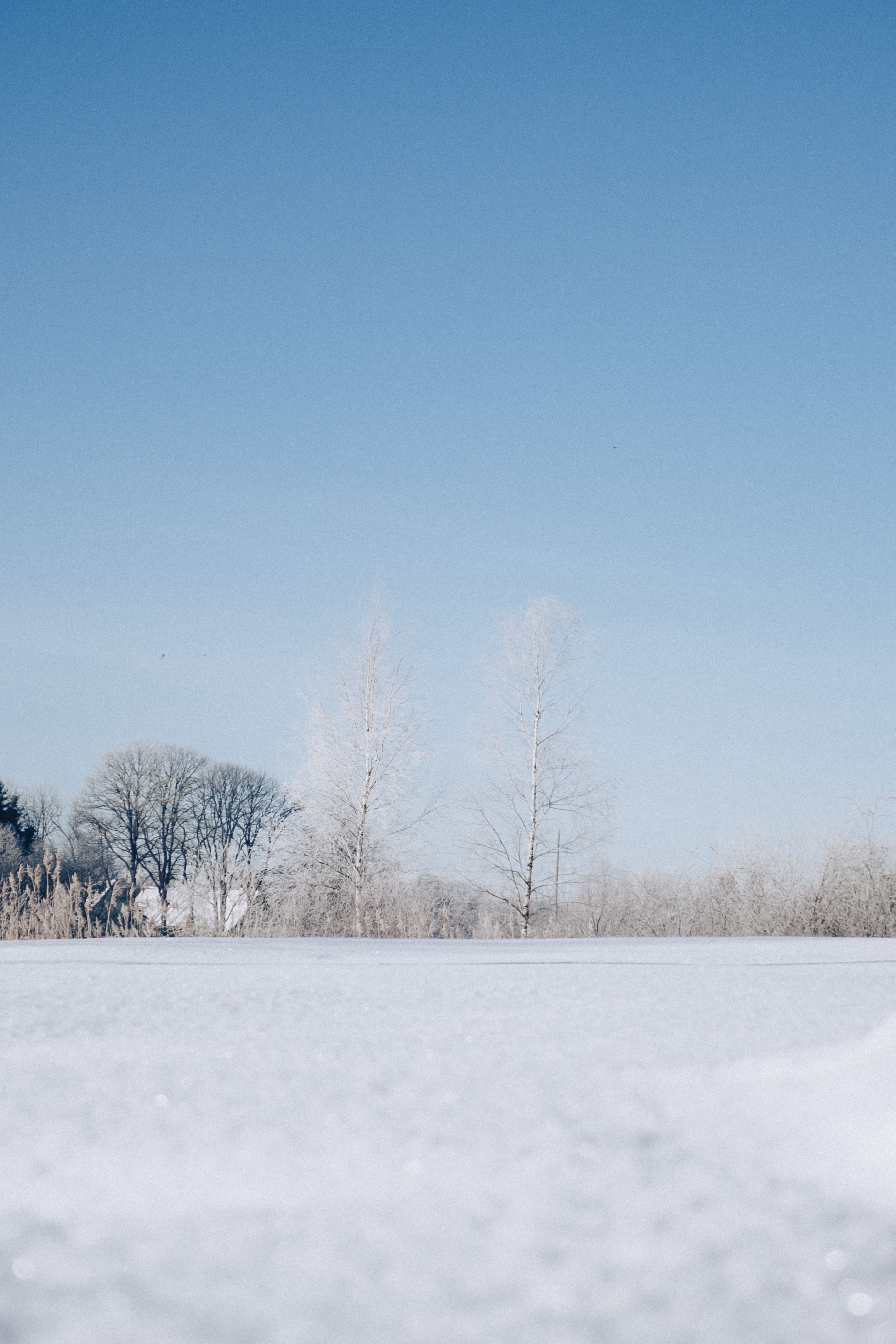 Photo by Elina Volkova on pexels