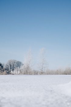 Calm winter scene featuring snow-covered ground and bare trees against a clear blue sky.
