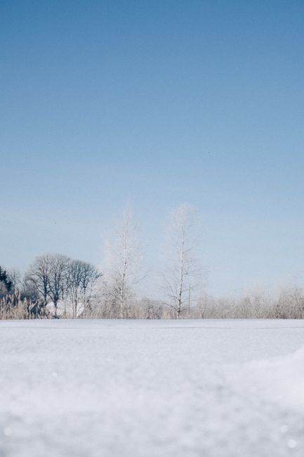 Photo by Elina Volkova on pexels