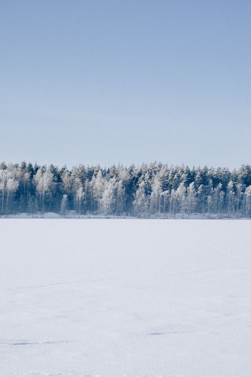 Free Serene winter panorama of a snow-covered field and a frosted forest under a clear blue sky. Stock Photo