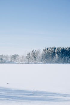 Peaceful winter scene with snow-covered landscape and frosty trees under a clear blue sky.
