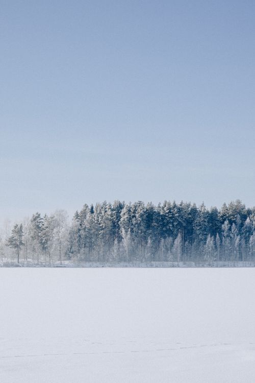 Free Serene view of a snow-covered forest under a clear blue sky, evoking tranquility. Stock Photo