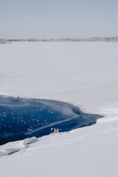 A tranquil winter scene featuring a vast frozen lake and white snowdrifts.