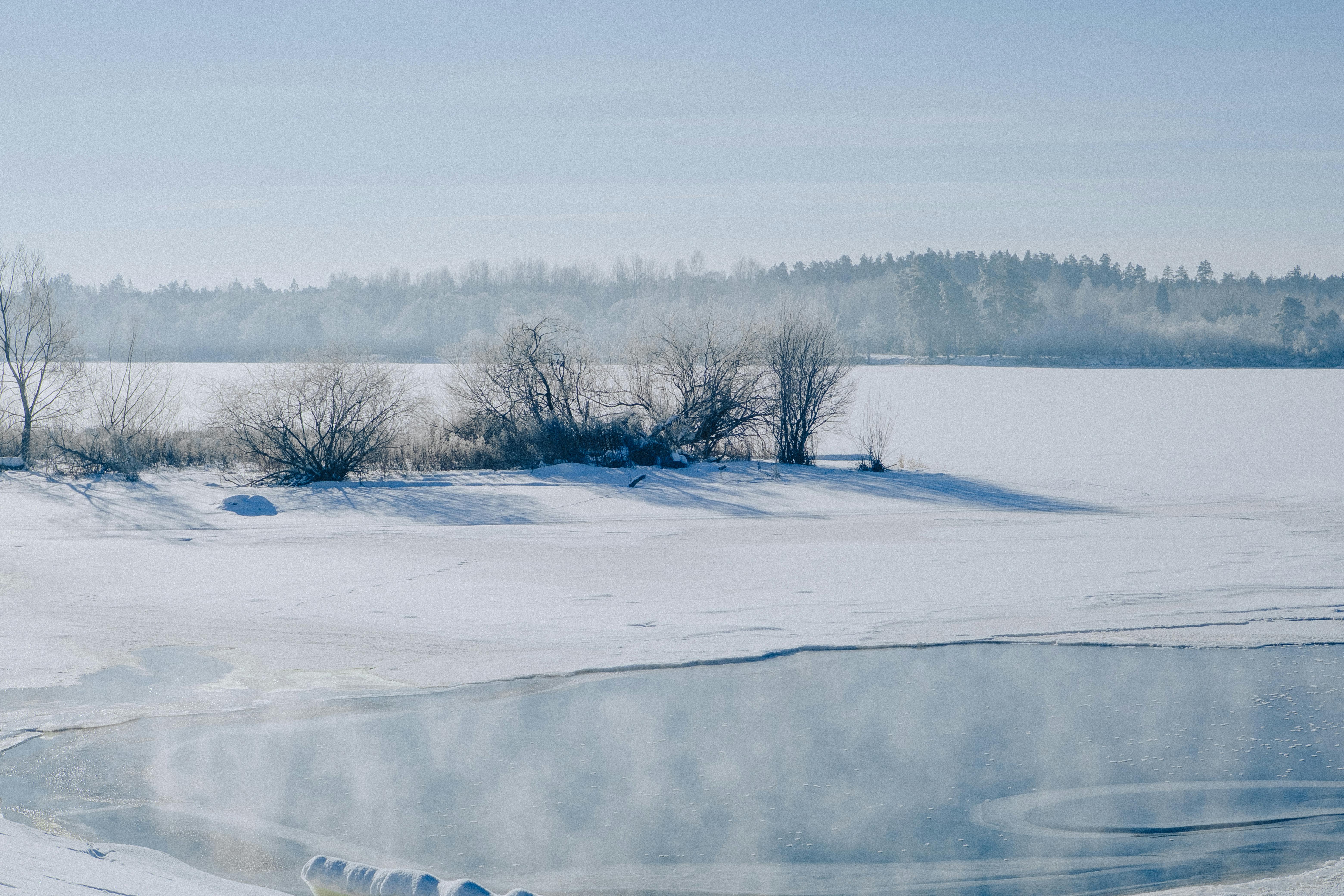 Ilmainen Rauhallinen talvimaisema, jossa on jäätynyt järvi, nouseva sumu ja kaukaisuudessa huurteisia puita. Kuvapankkikuva