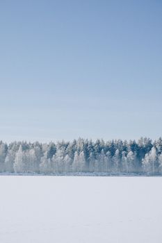 Serene winter landscape with snow-covered forest and clear blue sky.