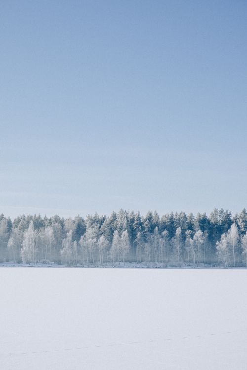 Free Serene winter landscape with snow-covered forest and clear blue sky. Stock Photo