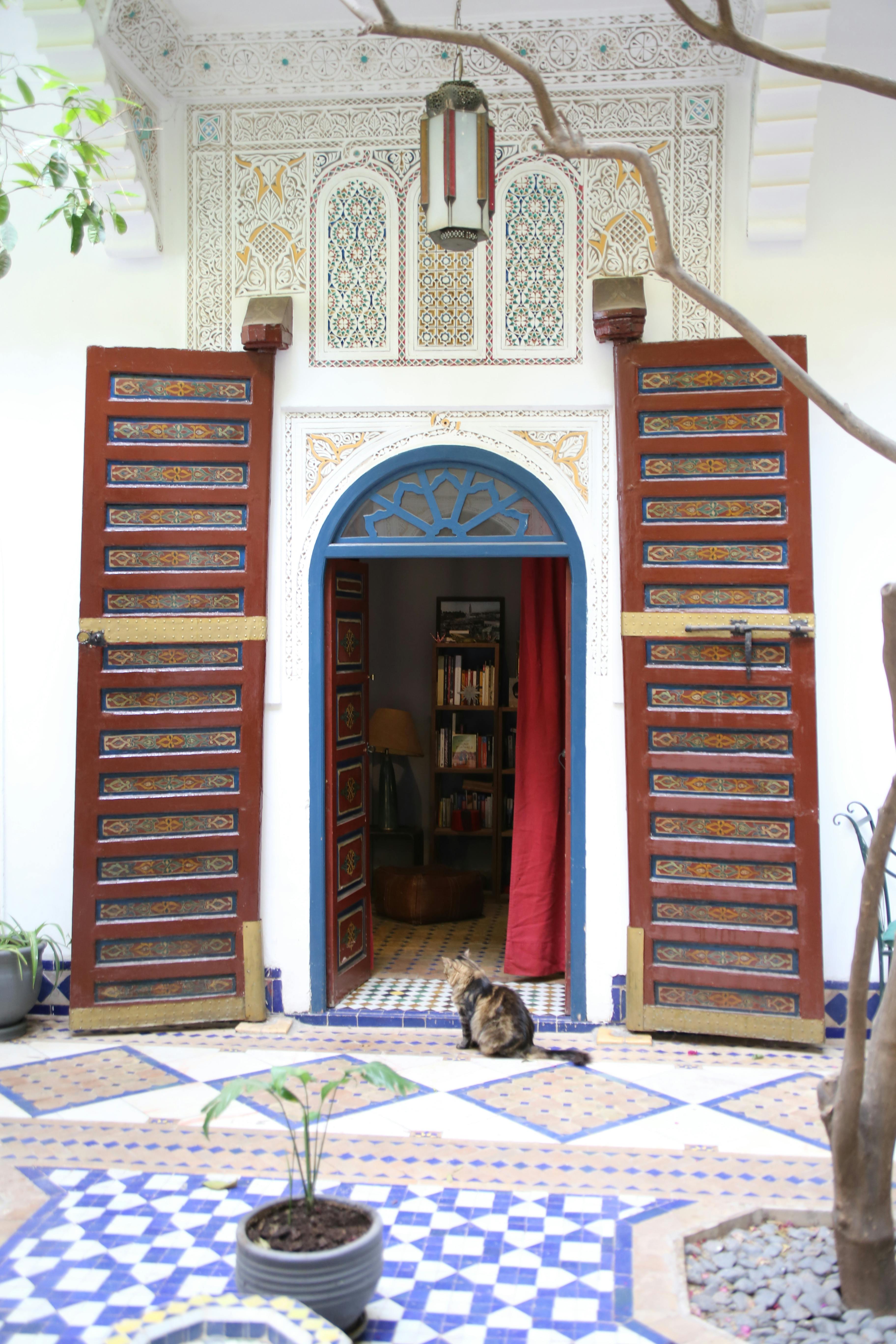 Gratis Charmerende gårdhave i Marrakech riad med traditionel indretning og kat. Lagerfoto